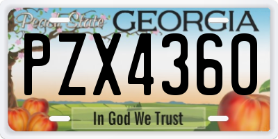 GA license plate PZX4360