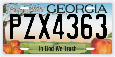 GA license plate PZX4363