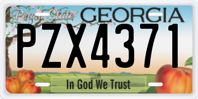 GA license plate PZX4371