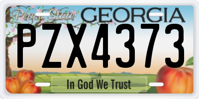 GA license plate PZX4373