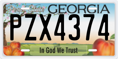 GA license plate PZX4374