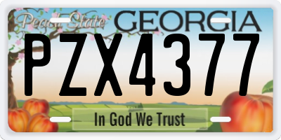 GA license plate PZX4377