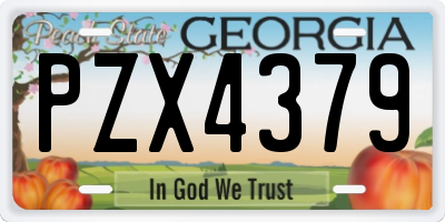 GA license plate PZX4379