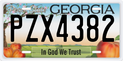 GA license plate PZX4382