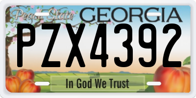 GA license plate PZX4392