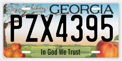 GA license plate PZX4395