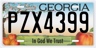 GA license plate PZX4399