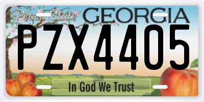 GA license plate PZX4405