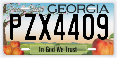 GA license plate PZX4409