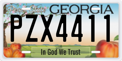 GA license plate PZX4411