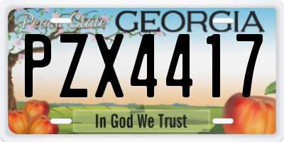 GA license plate PZX4417