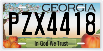 GA license plate PZX4418