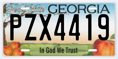 GA license plate PZX4419