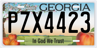 GA license plate PZX4423