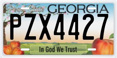 GA license plate PZX4427