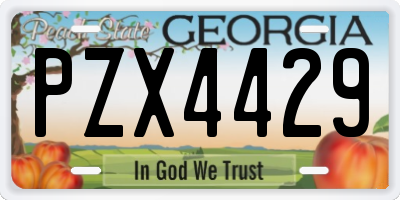 GA license plate PZX4429