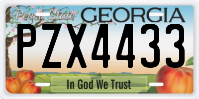 GA license plate PZX4433