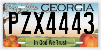 GA license plate PZX4443