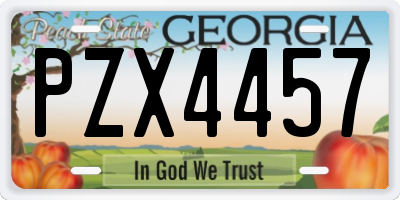 GA license plate PZX4457