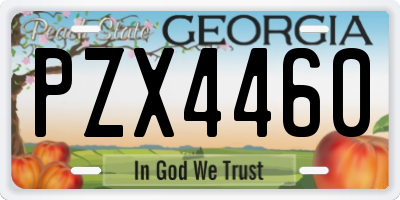 GA license plate PZX4460