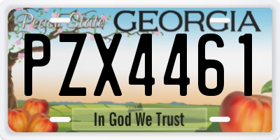GA license plate PZX4461