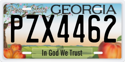 GA license plate PZX4462