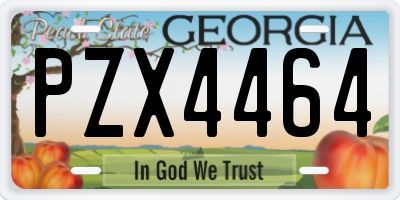 GA license plate PZX4464