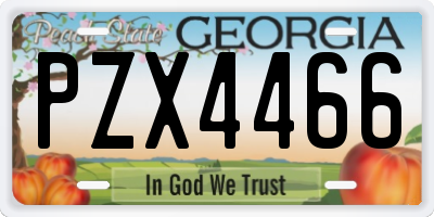 GA license plate PZX4466
