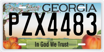 GA license plate PZX4483