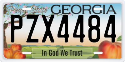 GA license plate PZX4484