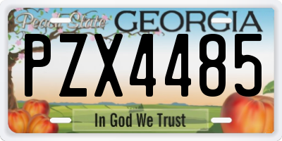 GA license plate PZX4485