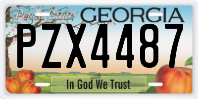 GA license plate PZX4487