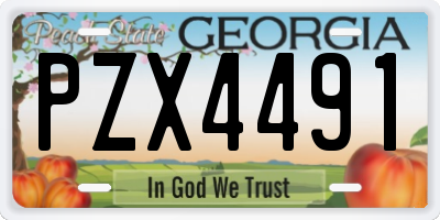 GA license plate PZX4491