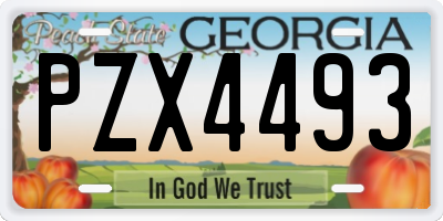 GA license plate PZX4493
