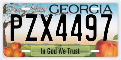 GA license plate PZX4497