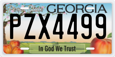 GA license plate PZX4499