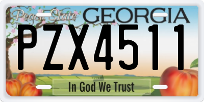 GA license plate PZX4511