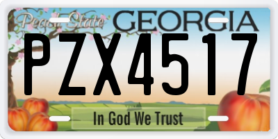 GA license plate PZX4517