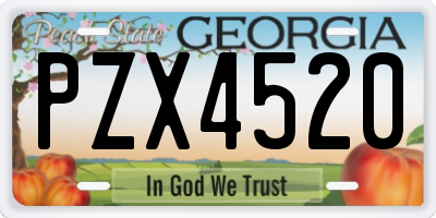 GA license plate PZX4520