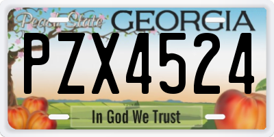 GA license plate PZX4524