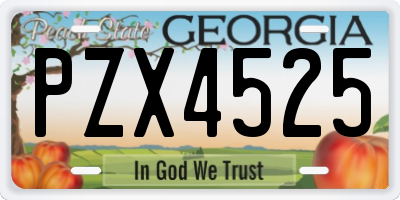 GA license plate PZX4525