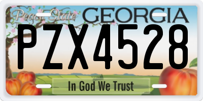 GA license plate PZX4528