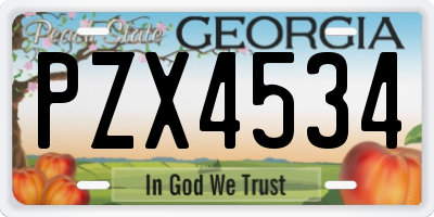 GA license plate PZX4534
