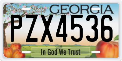 GA license plate PZX4536