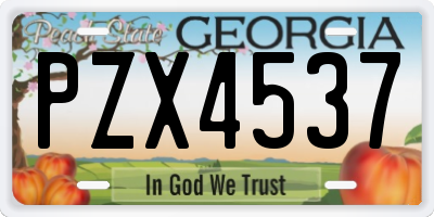 GA license plate PZX4537