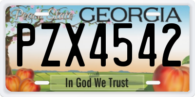 GA license plate PZX4542