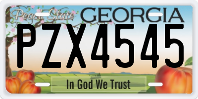 GA license plate PZX4545