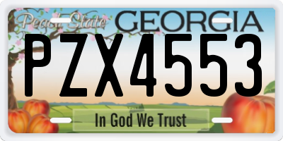 GA license plate PZX4553