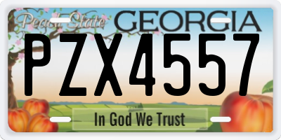 GA license plate PZX4557