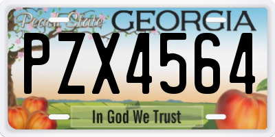 GA license plate PZX4564
